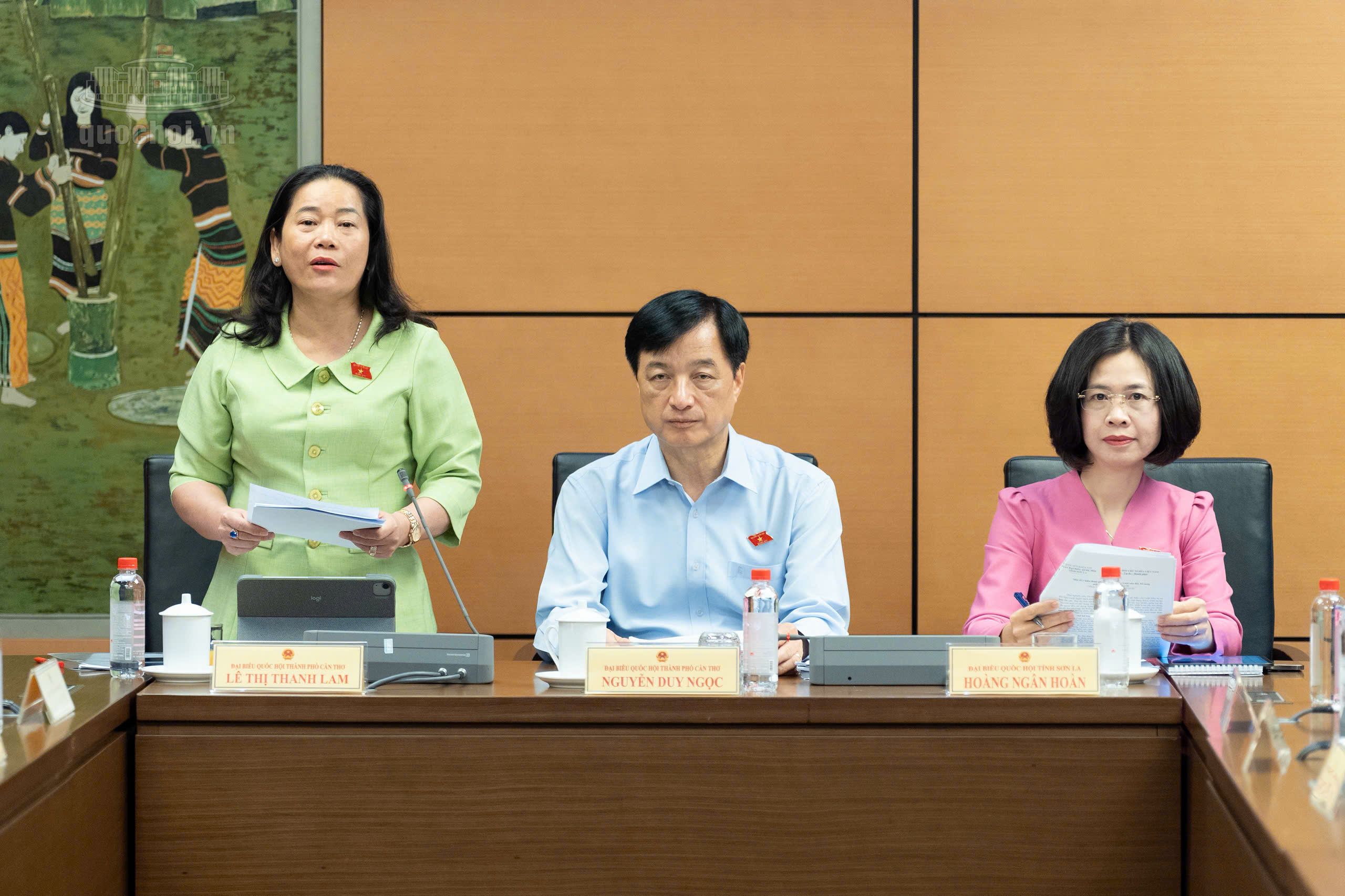 Bà Lê Thị Thanh Lam, Phó trưởng đoàn chuyên trách Đoàn đại biểu Quốc hội TP Cần Thơ, góp ý dự án Luật An toàn thực phẩm (sửa đổi)